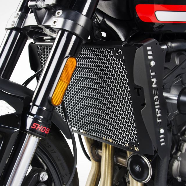 Triumph Trident 660 radiator side covers